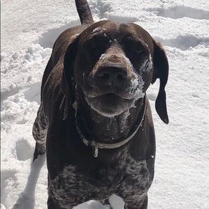 Meet your Posher, Christine